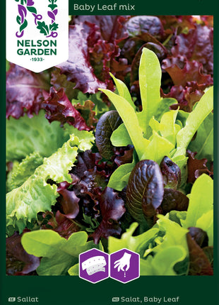 Salaatti, Baby Leaf, sekoitus, siemennauha