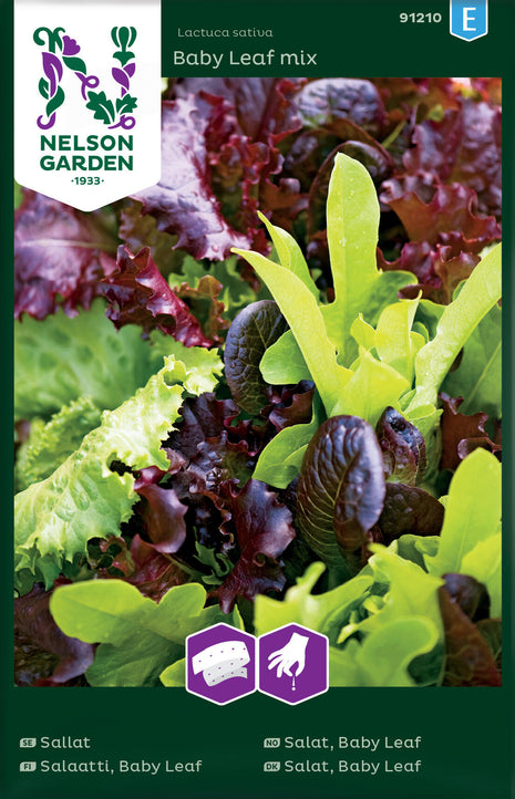 Salaatti, Baby Leaf, sekoitus, siemennauha