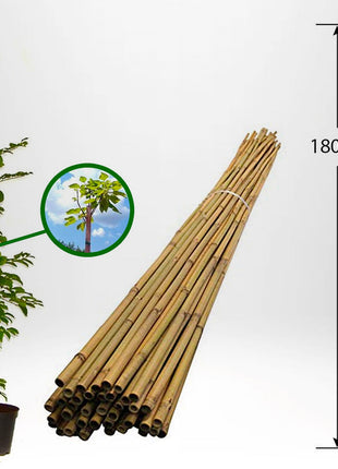 Bambupinne för stöd - 180cm 6/12mm