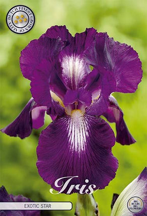 Iris Germanica Exotic Star (Nyhet) 1-pack - Svedberga Plantskola AB - Köp växter Online med hemleverans.