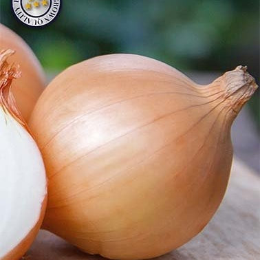 Lök Centurion 250 g