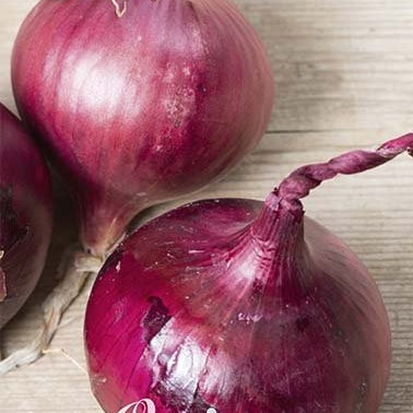 Lök-Onion Red Baron 250 g
