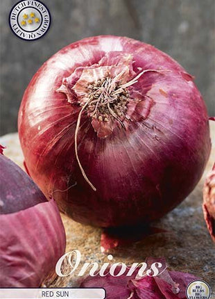 Onion Red Sun 250 g - Svedberga Plantskola AB - Köp växter Online med hemleverans.