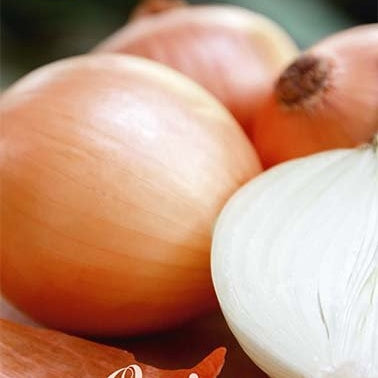 Lök-Onion Stutgarten Rieser 250 g