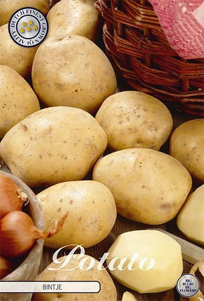 Potato Bintje 10-pack - Svedberga Plantskola AB - Köp växter Online med hemleverans.