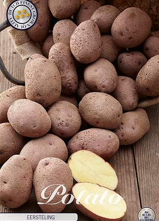 Potato Eersteling 10-pack - Svedberga Plantskola AB - Köp växter Online med hemleverans.